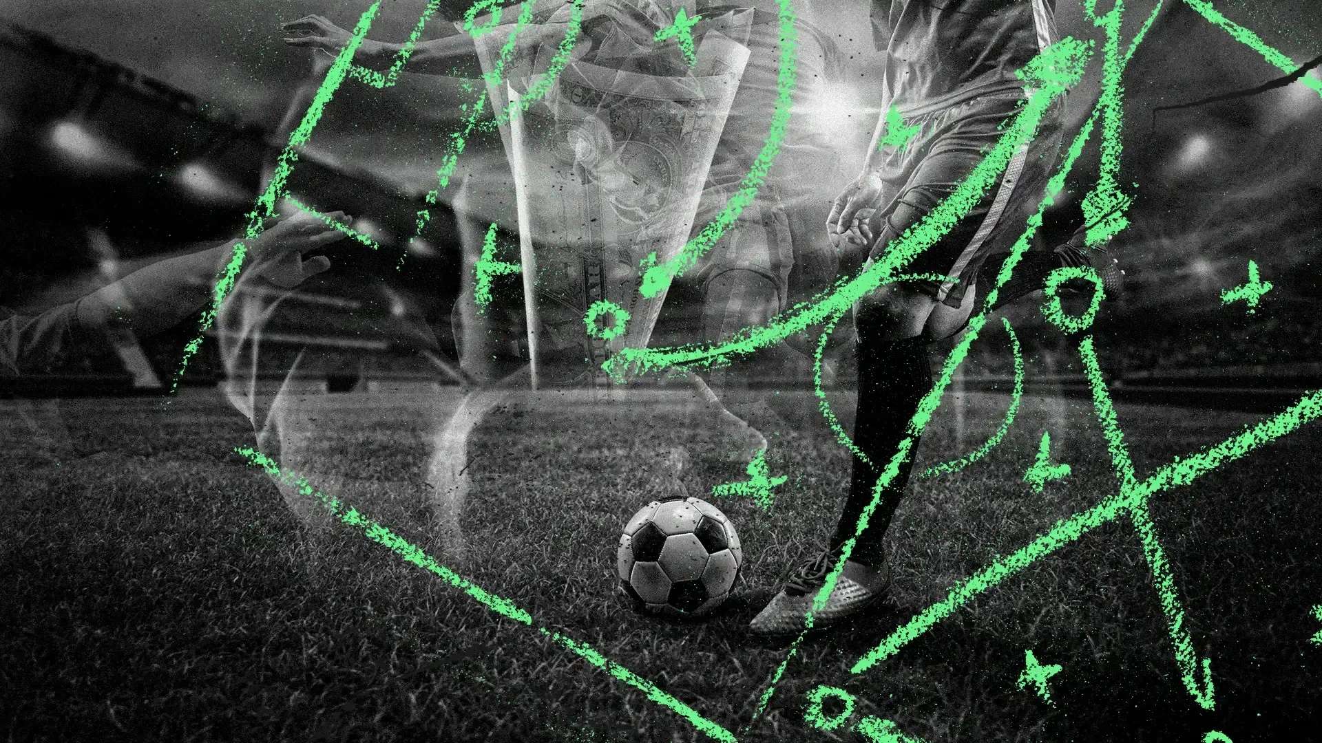 我们将聚焦 我们将聚焦